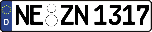 NE-ZN1317