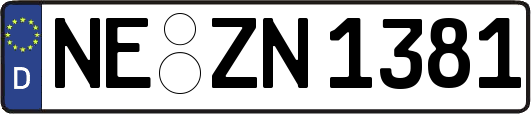 NE-ZN1381