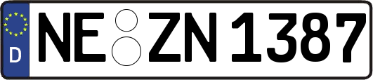 NE-ZN1387