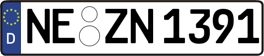 NE-ZN1391