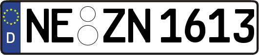 NE-ZN1613