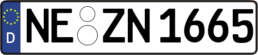 NE-ZN1665