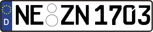 NE-ZN1703