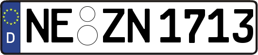 NE-ZN1713