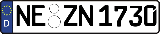 NE-ZN1730