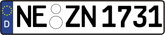 NE-ZN1731