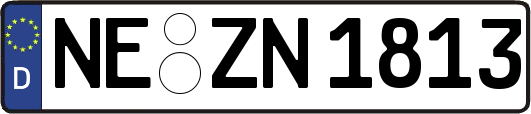 NE-ZN1813