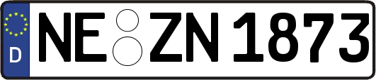 NE-ZN1873