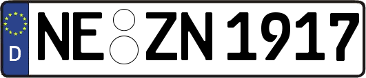 NE-ZN1917