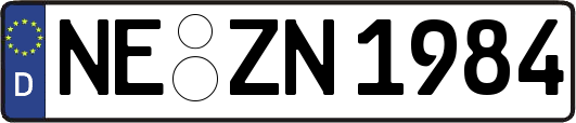 NE-ZN1984