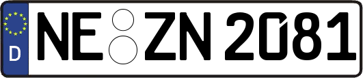 NE-ZN2081