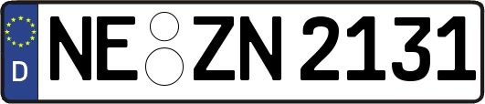 NE-ZN2131