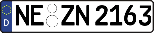 NE-ZN2163