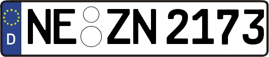 NE-ZN2173