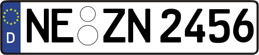 NE-ZN2456