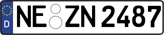 NE-ZN2487