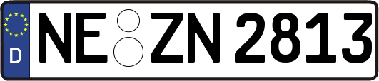 NE-ZN2813