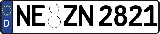 NE-ZN2821