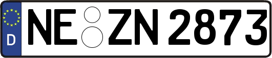 NE-ZN2873