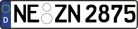 NE-ZN2875