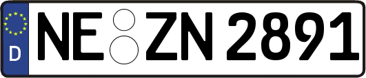NE-ZN2891