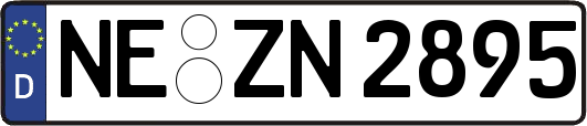 NE-ZN2895