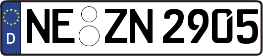 NE-ZN2905