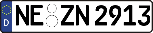 NE-ZN2913
