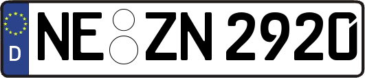 NE-ZN2920