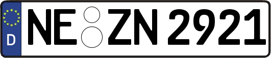 NE-ZN2921