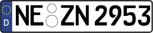 NE-ZN2953