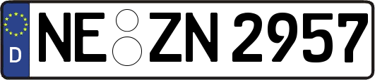 NE-ZN2957
