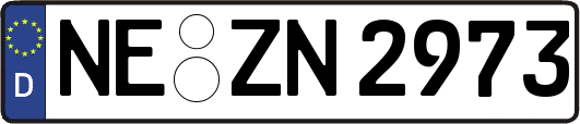 NE-ZN2973