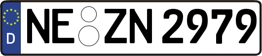 NE-ZN2979