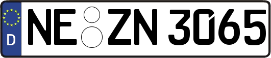 NE-ZN3065