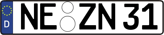 NE-ZN31