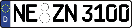 NE-ZN3100