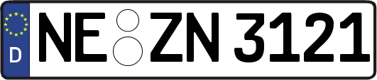 NE-ZN3121