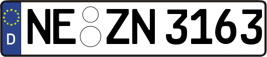 NE-ZN3163
