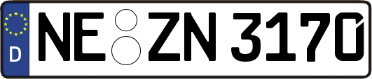 NE-ZN3170
