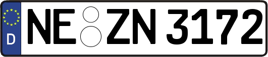 NE-ZN3172