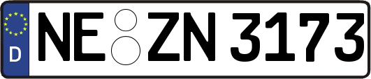 NE-ZN3173