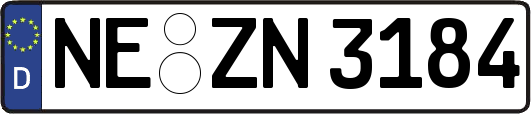 NE-ZN3184