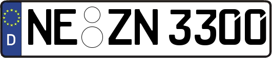 NE-ZN3300