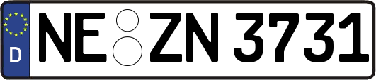 NE-ZN3731