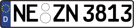 NE-ZN3813