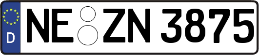 NE-ZN3875
