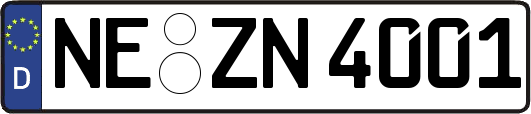 NE-ZN4001