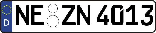 NE-ZN4013