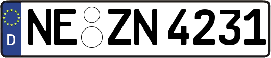 NE-ZN4231